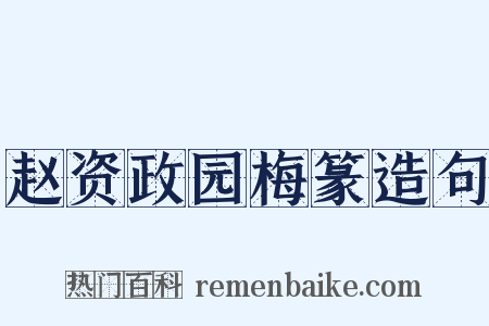 赵资政园梅篆造句是什么意思的图片